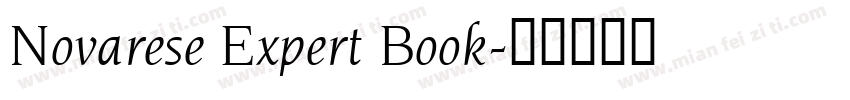 Novarese Expert Book字体转换